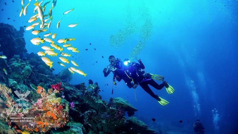 潜水考证趋势:让每个热爱水下世界的你游刃有余